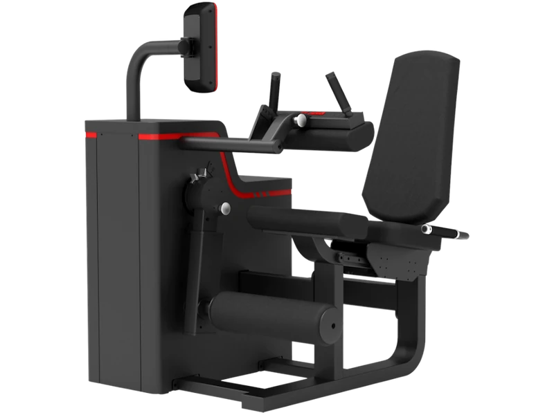 Сгибание ног T163 - Вид в изометрии (Eliga)