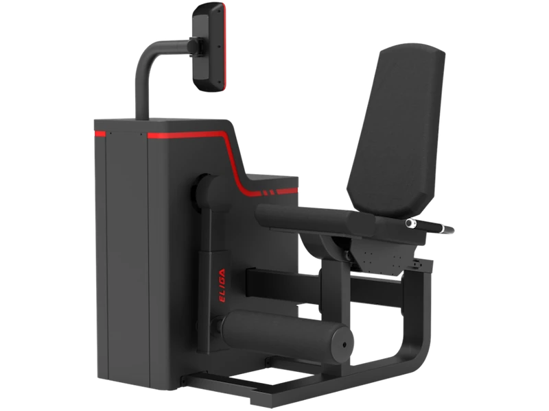 Разгибание ног T162 - Вид в изометрии (Eliga)