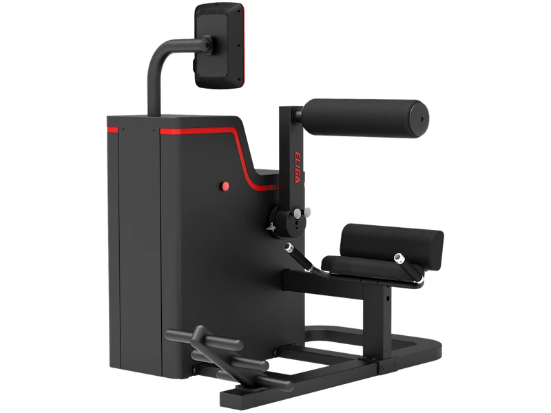 Разгибание спины T165 - Вид в изометрии (Eliga)